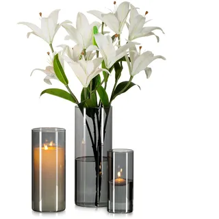 Glasseam Grau Glasvase Zylinder Vase Rund: 3er Moderne Glasvasen Set für Wohnzimmer Tischdeko - Anthrazit Große Vasen Glas Tulpen Rose Zylindervasen Windlicht für Stumpenkerzen (15/20/25cm)