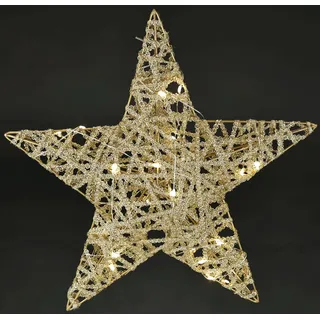 Leuchtstern aus Metall mit Timer 30cm LED Deko Leuchte Warmweiß Batteriebetrieben Winter- & Weihnachtsdeko Weihnachtsstern Beleuchtung Stern Sternlampe Gold