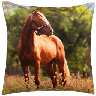 Brandsseller Dekokissen Zierkissen mit Tiermotiv - 40 x 40 cm - Pferd