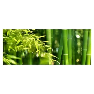 Tulup® Küchenrückwand Spritzschutz aus Glas -125x50 -Spritzschutz auf gehärtetes Glas Deko Blumen & Pflanzen Bambus