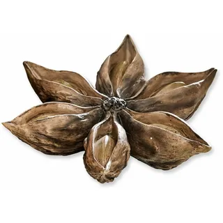 Loberon Deko-Objekt Wedekir, festlicher Anisstern, feine Handarbeit, Weihnachtsdekoration, Weihnachten, Polyresin, antikbraun