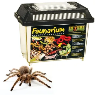 Exo Terra Faunarium 23 x 15,5 x 16,5 cm