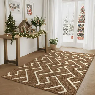 Biscpro Schmutzfangmatte 90 x 150, Rutschfestigkeit Fußmatte,Maschine gewaschen Türmatte für Hund, Außen Innen Garten,Teppich,küchenteppich,Haustür