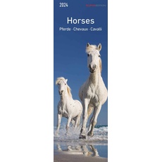 Pferde 2024 - Lesezeichenkalender 5,5x16,5 cm - Horses - Tierkalender - Lesehilfe - Alpha Edition
