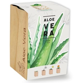 Feel Green ecoblock Aloe Vera, Nachhaltige Geschenkidee (100% Eco Friendly), Grow Your Own/Anzuchtset, Pflanzen im Holzblock, Made in Austria