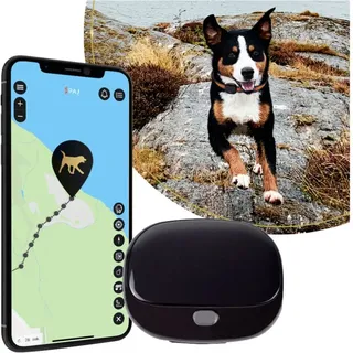 Paj GPS PET Finder 4G 2.0 Black GSM-Tracker 1St.