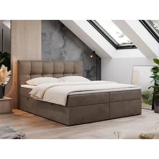 MKS MEBLE Boxspringbett 160x200 mit Bettkasten, Bett mit Multipocket - Matratze H3 Topper, Polsterbett 160x200 mit Bettkasten Kopfteil, Boxspringbett mit Matratze H3 - RICO - 160x200 - Braun Velvet - H3 - Braun
