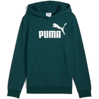 Puma Essentials No. 1 Logo Hoodie FL B green terrain 152