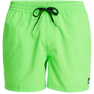 QUIKSILVER Everyday Solid Volley 15 Badeshorts Grün 2XL