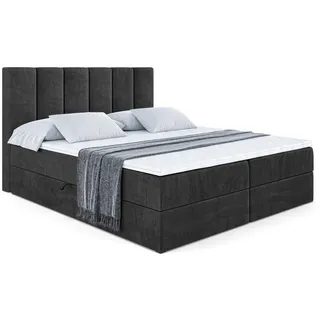 altdecor Boxi1 200 x 200 cm H4 Schwarz