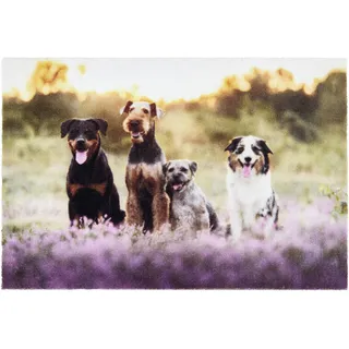 Astra Deco Print 107 40 x 60 cm Mehrfarbig