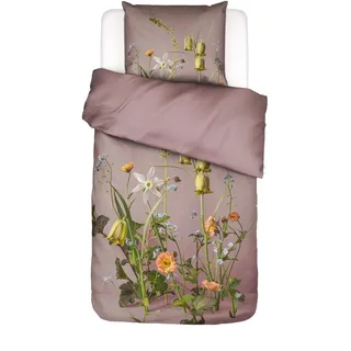 ESSENZA Bettwäsche Ficaria Woodrose, 135x200 cm + 1x 80x80 cm - 100% Bio-Baumwollsatin 215TC - Blumen