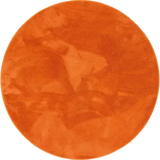 Snapstyle Snapstyle, Teppich, Luxus Super Soft Hochflor Langflor Teppich Deluxe Rund (200 x 200 cm)