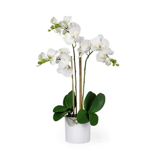 Serene Spaces Living Orchideenpflanze im Topf, perfekt für Hochzeiten und Heimdekoration, echt aussehende Pflanze Dekoration, viele Größen Stile erhältlich Modern 3 weiße Orchideen in weißem Topf.