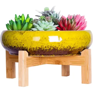 ARTKETTY Große runde saftige Pflanzgefäß mit Ständer, Vintage Keramik glasierte Bonsai Topf mit Mess Drainage Bildschirm, dekorative Garten Moderne Kaktusblume Pflanzgefäß Behälter Schüssel (Yellow)