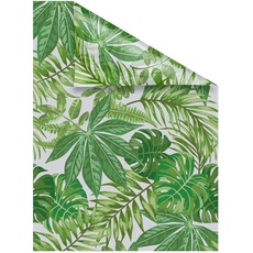 Bild Fensterfolie Blätter grün B/L: ca. 50x50 cm x 50 cm,