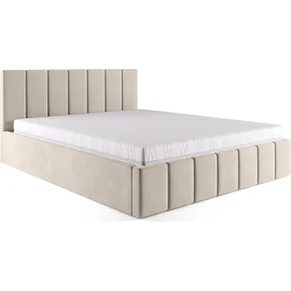 FEDVE Polsterbett Doppelbett Pesaro Bett Bettkasten 160x200 cm Creme - Creme