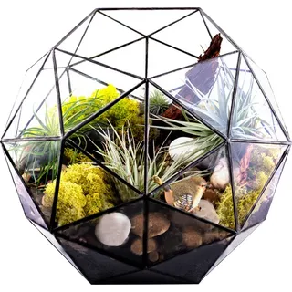Blumentopf,Pflanzgefäß,Pflanzenbehälter,Glas-Pflanzgefäß,Pflanzenhalter