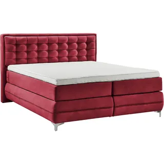 Boxspringbett MUSTERRING "Dubai", rot (d 521 rot), B:197cm L:214cm, Komplettbetten, Boxspringbett, Winkelfuß in Chrom, 3 Härtegrade, Kopfteil in Kassettensteppung
