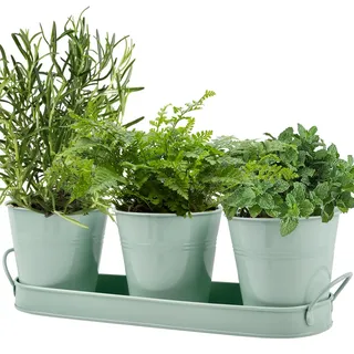 MOPLA 3er-Set kräutertöpfe Metall,Kräutergarten mit Tablett,Kräutertopf Küche,Herb Pots Indoor/Outdoor,Pflanztöpfe für Kräuter,Basilikum, Minze, Petersilie-Frische Kräuter Zuhause Anbauen