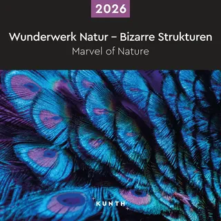 Kunth Verlag Wunderwerk Natur – Bizarre Strukturen - KUNTH Broschurkalender 2026: Farbenprächtiger Wandkalender mit Monatskalendarium für Notizen