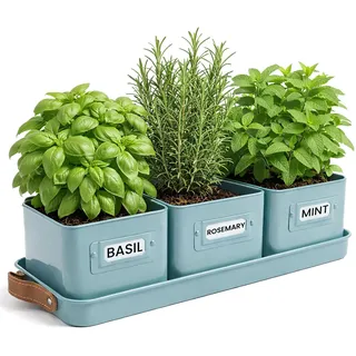 Green Thumbz 3 STK. Kräutertopf - Kräutertöpfe für Deinen Kräutergarten und Fensterbank Innen Dekoration - Basilikum Topf mit Ledergriffen & Untersetzer - Küchenkräuter Topf (Tealblau)