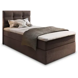 masseno GLOS 90 x 200 cm Braun