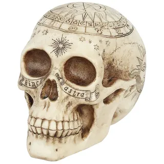 Nemesis Now Dekofigur Totenkopf Astrologisch 29 cm Elfenbein