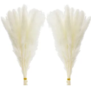 Comtelek 30 Stück Pampasgras,45cm Natürlich Pampasgras Getrocknet Weiss Deko Trockenblumenstrauß für Wohnzimmer,Schlafzimmer,Boho,Tischdeko Hochzeit(Weiß)...
