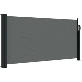 vidaXL Seitenmarkise 100 x 300 cm Grau Polyester