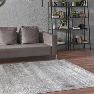 HAMID – Zeitgenössischer Wollteppich Alpes, moderner weicher Teppich, Großer Teppich für Wohnzimmer, Schlafzimmer, Wohnzimmer (Beige Grau, 300 x 250 cm)