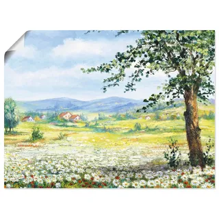 Artland Poster »Margeritenfeld« Wiesen & Bäume 1 Stk. tlg. ohne Rahmen, grün