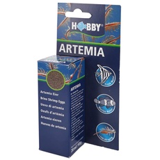 Bild Artemia-Eier