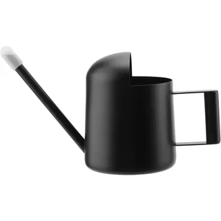 Gießkanne Klein Zimmerpflanzen, 300ml Edelstahl Gießkanne Mini