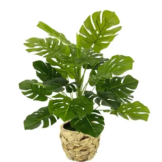 I.GE.A. Kunstpflanze »Monstera« Mit Übertopf künstlicheSplitphilo-Pflanze, grün