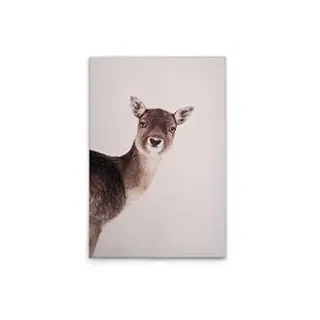 A.S. Création Leinwandbild Tiere Hirsch Rosa - Wandbild in Beige, Braun - 40 x 60 cm - DD132254