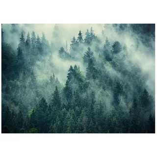 Wallarena Fototapete Wald im Nebel Vliestapete 350x250 , Multicolor , Papier , Baum/Pflanze/Natur , Rechteckig , 350x250 cm , FSC 100% ,
