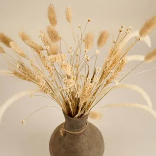 Meine Orangerie - Trockenblumen Set - 136 Stiele - Trockenblumenstrauß - Stilvolle und natürliche Trockenblumen Deko - Tisch Deko