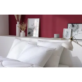 Abeil Kissenschoner, Frottee, Biome, 65 x 65 cm, 2 Stück