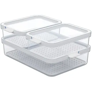 Rotho Frischhaltedose transparent 2,6 l 3-tlg.