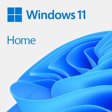 Bild von Windows 11 Home ESD DE