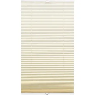 GARDINIA Plissee Concept Tageslicht 40 x 130 cm beige