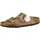 Arizona Birko-Flor,