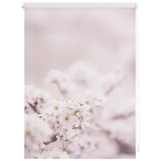 Lichtblick Rollo Klemmfix, ohne Bohren, Verdunkelung, Kirschblüten - Rosa Weiß