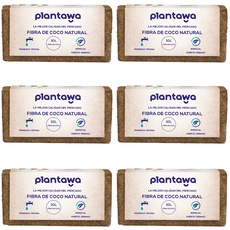 PLANTAWA Kokoserde Anzuchterde 60L | 100% Natürlich | Bietet Optimale Feuchtigkeitsspeicherung und Belüftung für Pflanzen | Ausgewogene Nährstoffe, Ideal für die Bewurzelung und Keimung