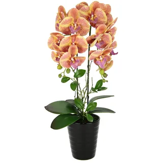 Flair Flower Künstliche Orchidee im Topf Kunstorchidee Blume Kunstblumen Kunst Orchidee Kunstorchidee Phalaenopsis Kunstpflanze wie echt Hochzeit Deko Seidenblume Real Touch Blüte Tischgesteck Seidenblume