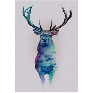 KOMAR "Animals Forest Deer", Tiere 1 Stk. tlg. Wandbild zur Dekoration - ohne Rahmen farbe bild(er): bunt