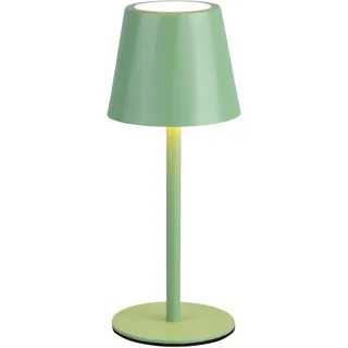REALITY LEUCHTEN LED Tischleuchte "DIAZ, Outdoor Akku Tischlampe Höhe 21 cm Ø 8,5 cm, IP44, Touchdimmer", grün, 1, Ø 8,5cm H: 21cm, 1 Stk., Leuchten, CCT Lichtfarbe einstellbar 2700-6500K, 160 Lumen, 1,6W, USB Anschluss, LED Tischleuchte