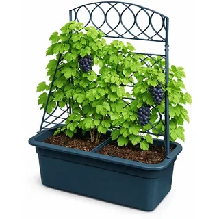 Blumentopf mit Rankhilfe Pflanzkübel Pergola Blumenkasten Anthrazit 58x78 cm