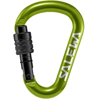 Salewa HMS-Karabiner Grün